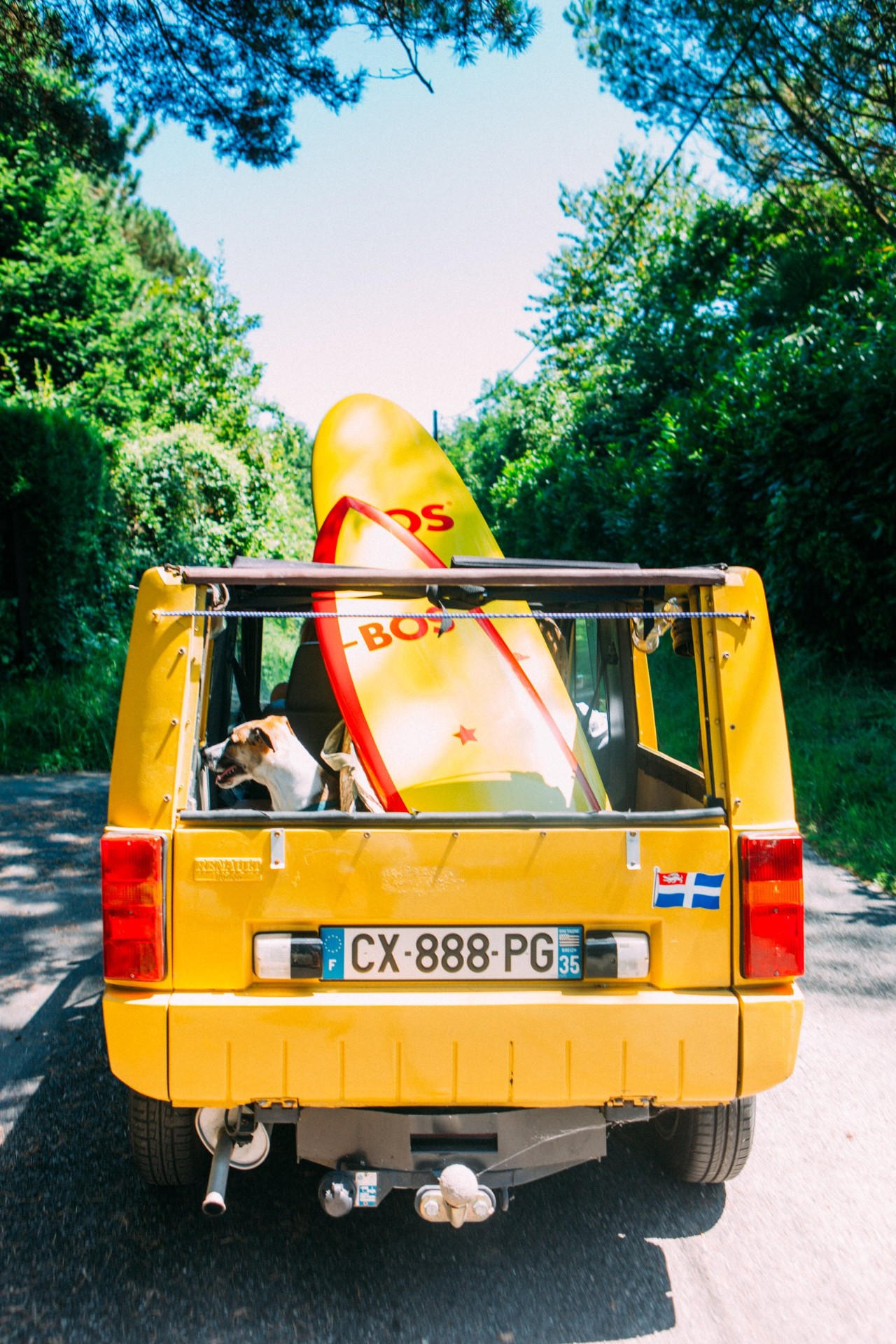 A vintage yellow Renault van loaded with BOS-branded yellow surfboards and a happy dog